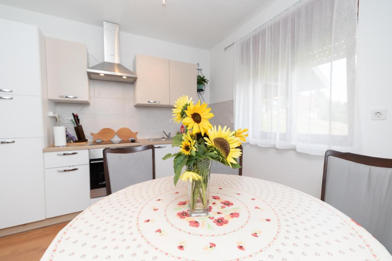 Apartman Skender 3* Ravna Gora 아파트 외부 사진