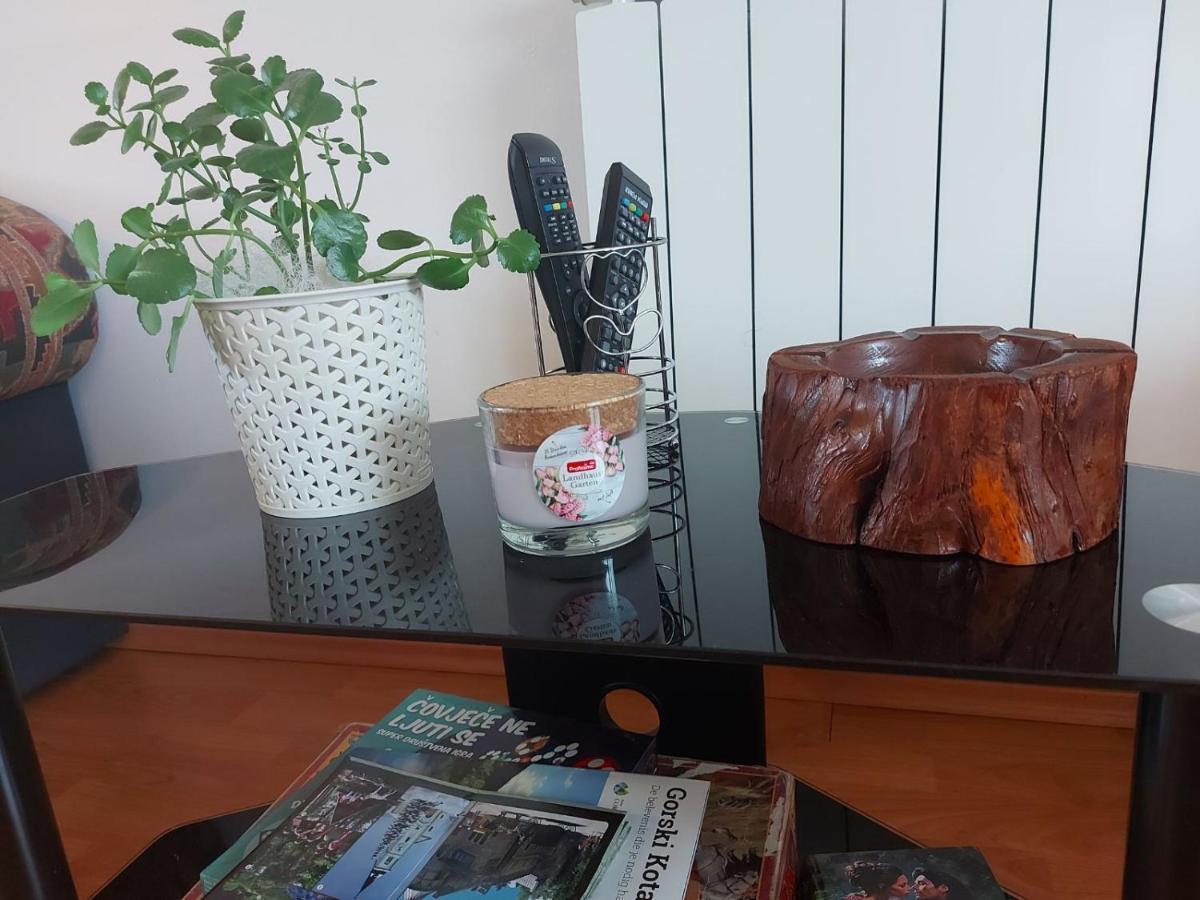 Apartman Skender 3* Ravna Gora 아파트 외부 사진