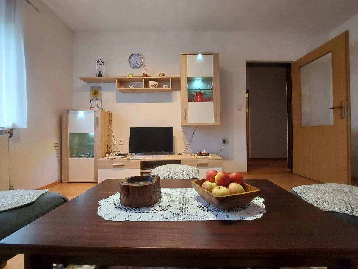 Apartman Skender 3* Ravna Gora 아파트 외부 사진